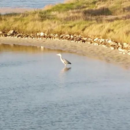 Appartement Les Galivades By Interhome