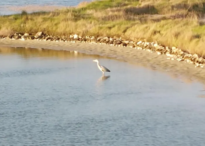 Appartement Les Galivades By Interhome